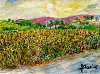 Olio su tela 24x18   Campo di girasoli 2008