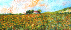 campo fiorito