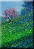 Primavera